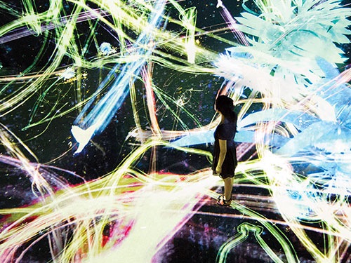 TeamLab Permanent exhibition at Art Science Museum